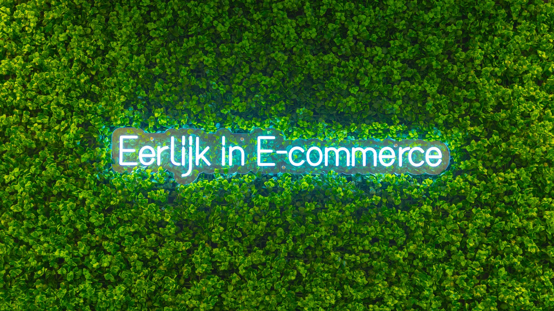 Eerlijk in ecommerce2 jpeg